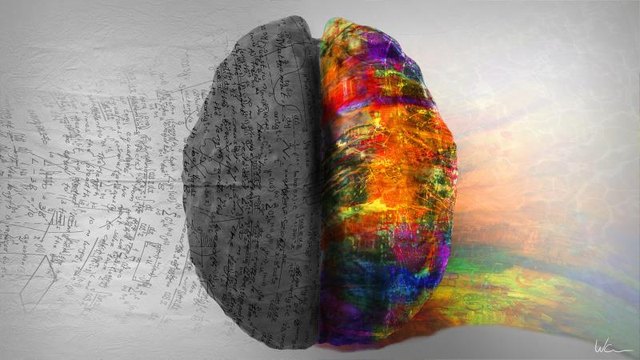 Top down view of human brain depicting left side right side differences. The right side shows creative, music and art while the left side shows calculation, numbers and mathematics.
