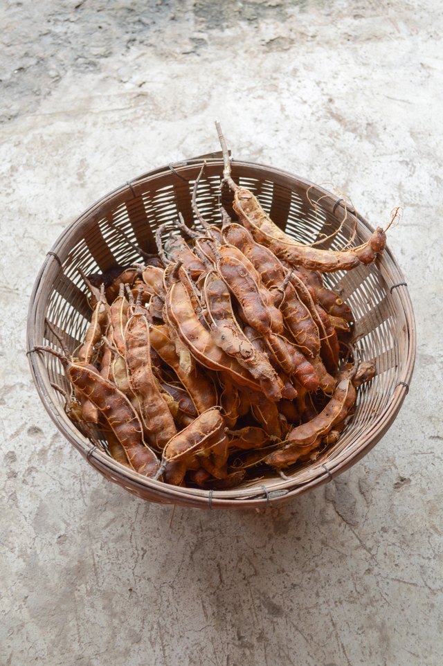 fresh tamarind