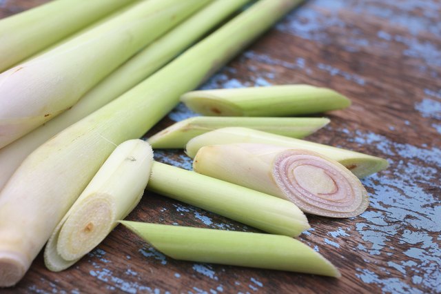 Lemon grass