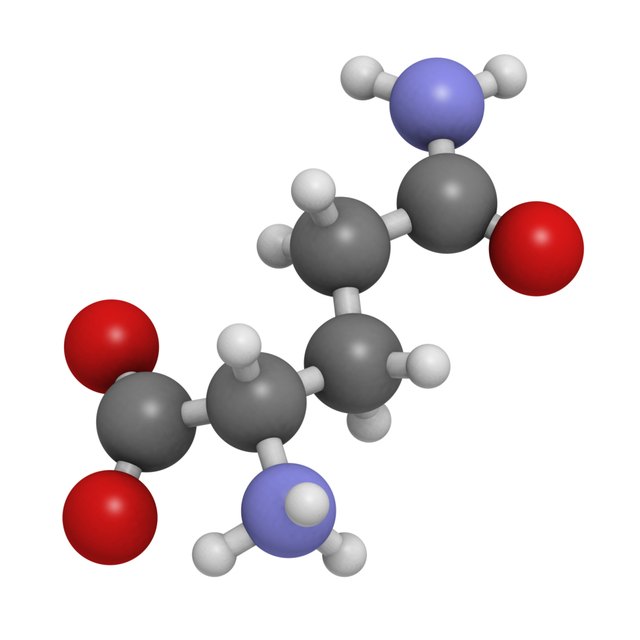 Glutamine Deficiency Symptoms | Livestrong.com