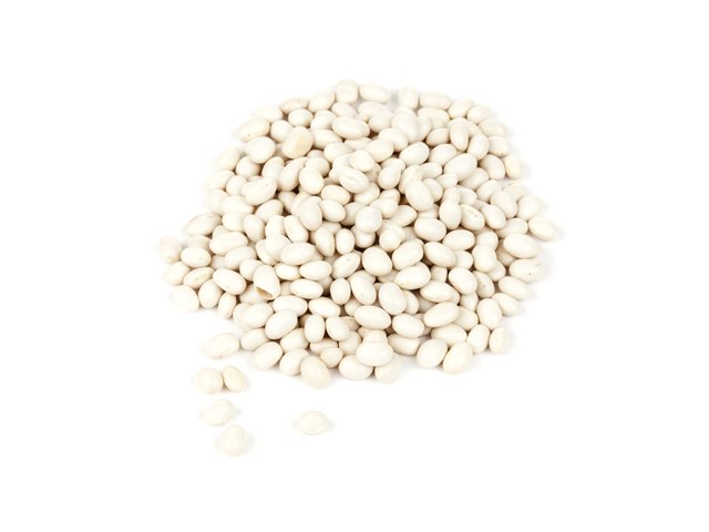 small white navy beans
