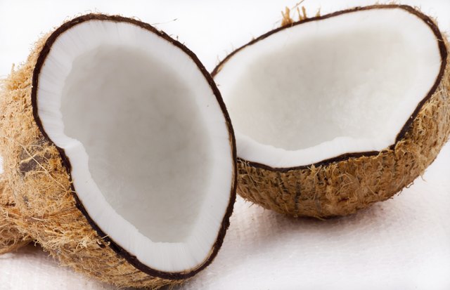 Coconut
