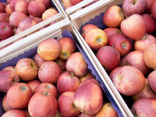 Red eating apples, fresh picked, packed into boxes for market