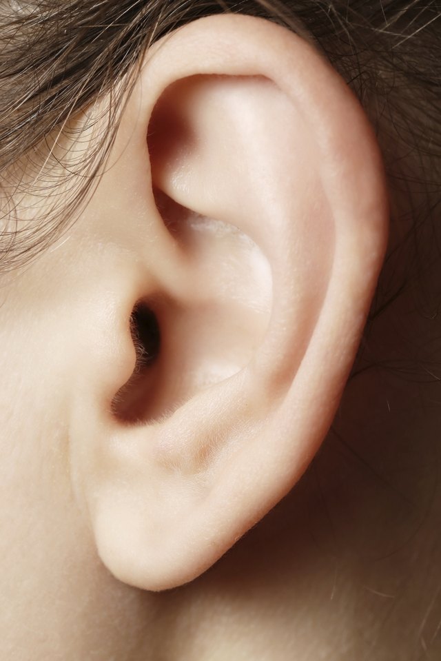 Human ear closeup