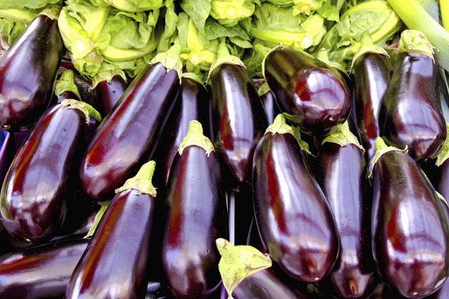 Eggplant market
