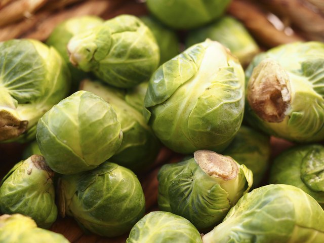 Brussels Sprout