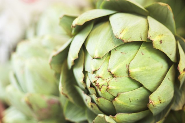 Artichoke close-up