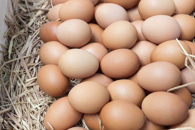Eggs