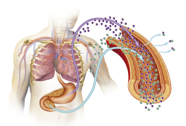 Types of diabetes