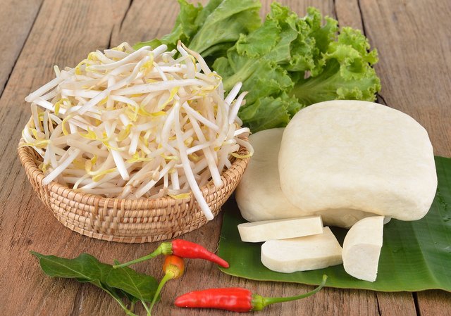 sprout and tofu vegetarian food
