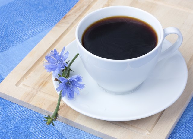 chicory in a white cup