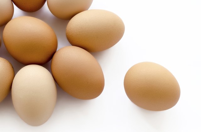 eggs