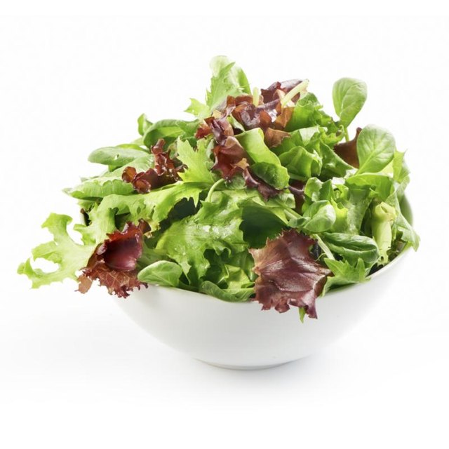 Mixed Green Salad.