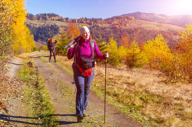 Two Hikers Walking on Pathway in Autumnal Forest