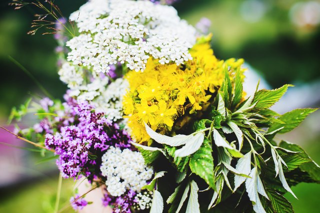 Bouquet of wild flowers on the fence