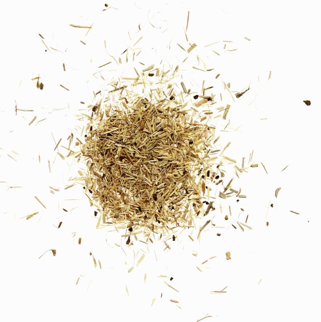 Siberian ginseng (Eleutherococcus senticosus)