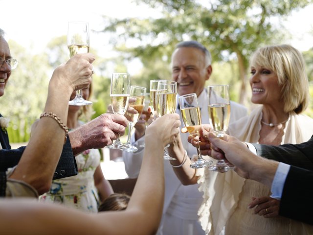 "Bride and groom toasting with guests, smiling"