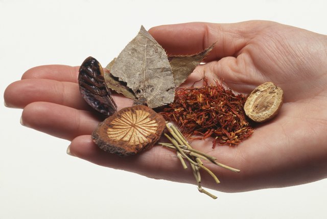 Woman holding herbal remedy ingredients, close up of hand