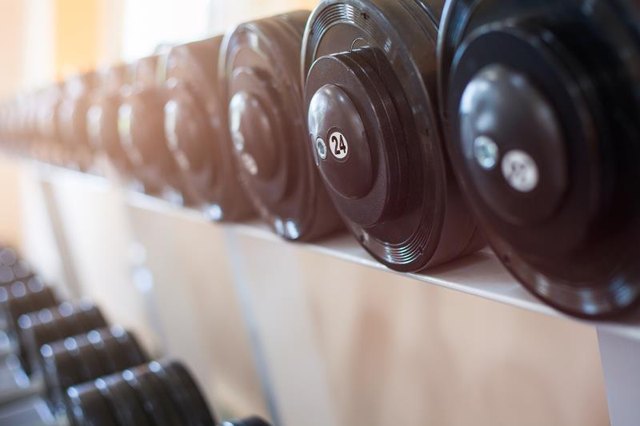 Sports dumbbells in modern sports club. Weight Training Equipment
