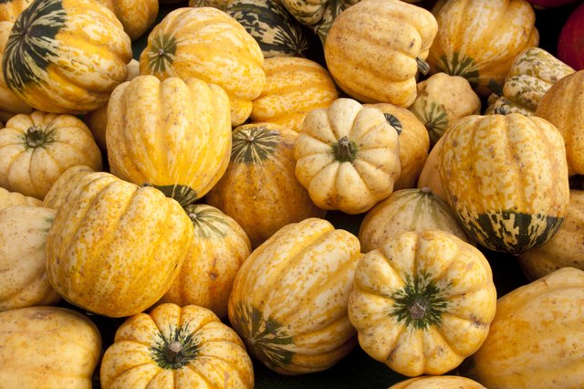 Yellow and Green Carnival Squash
