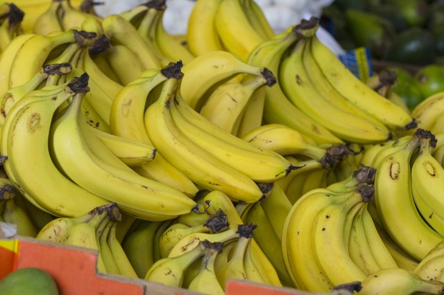 Hand of Ripe Bananas