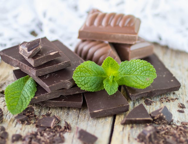 Pieces of dark and milk chocolate and mint