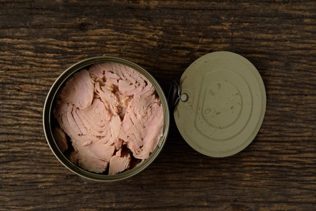 canned tuna