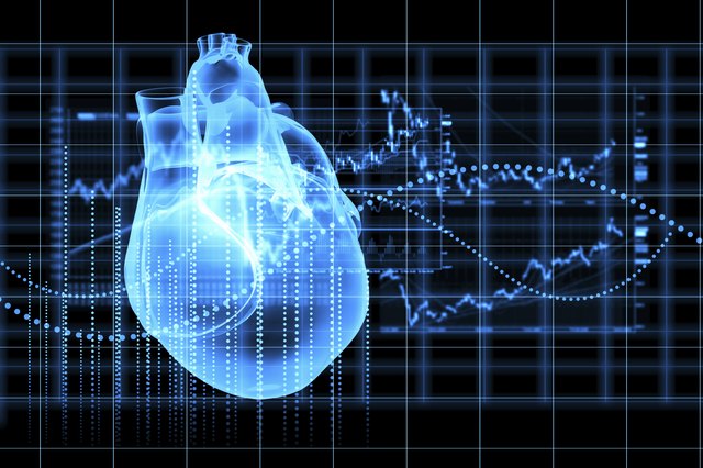 Cardiac Cell Functions | Livestrong.com