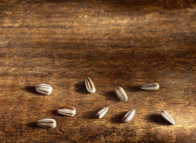 Nine Sunflower Seeds