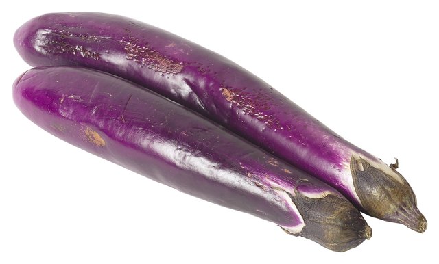 23573553
