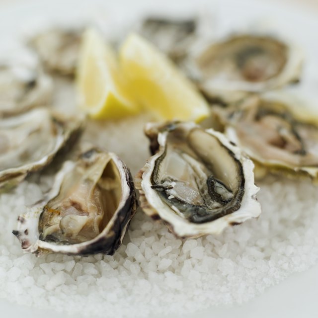 close-up of oysters served on crushed ice