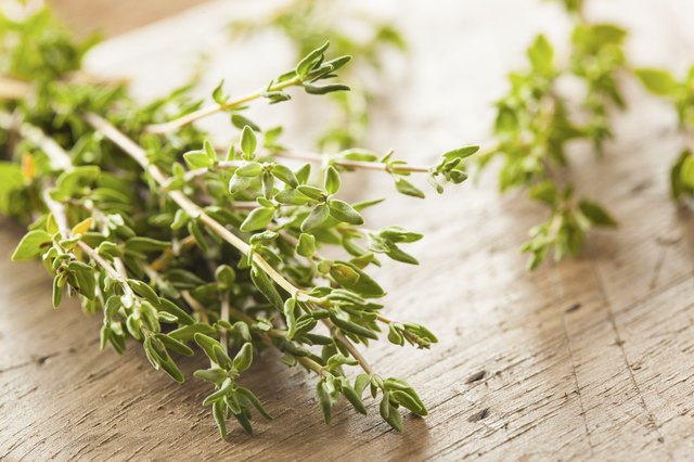 fresh thyme to dried thyme tablespoon