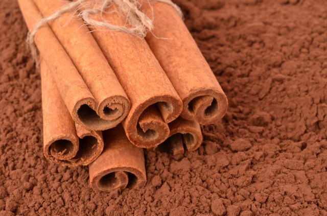Cinnamon on the background of cocoa
