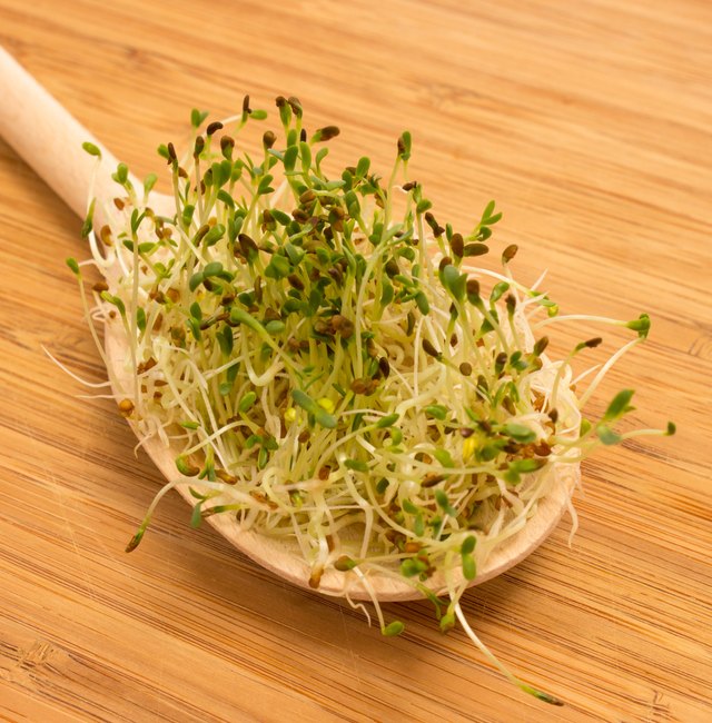 fresh alfalfa sprouts on a kitchen board