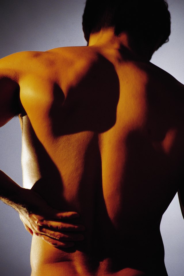 Exercise for the Erector Spinae Back Muscles