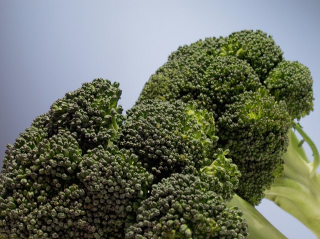 Close-up of broccoli