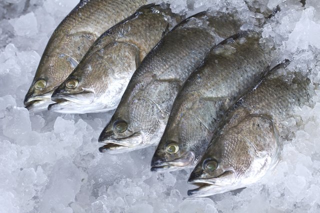 Fresh Seabass