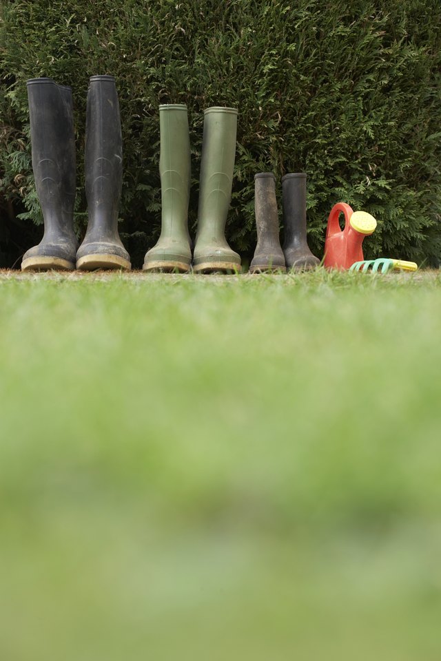 Row of galoshes by hedge, ground view