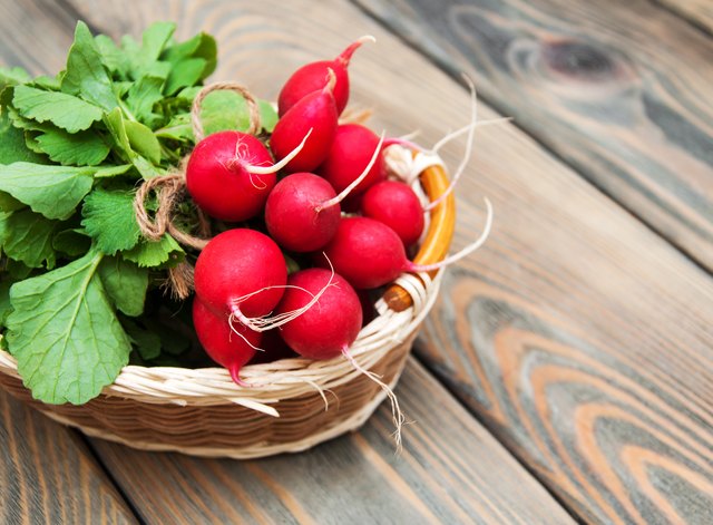 Fresh organic radish
