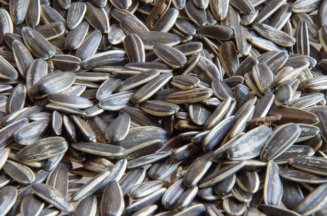 Are Sunflower Seeds Carbohydrates