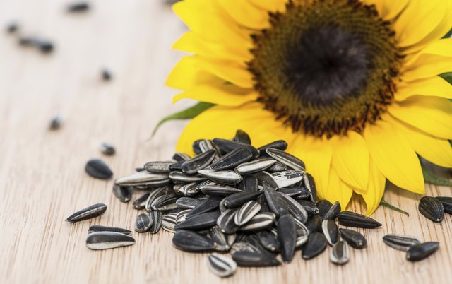 Calories In Shelled Sunflower Seeds