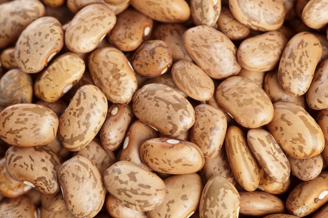 Organic Pinto Beans