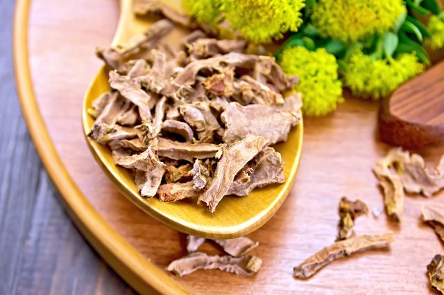 Root dry of Rhodiola rosea in spoonful with flowers
