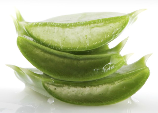 Aloe Vera