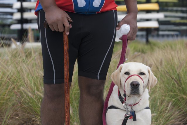 Man with spinal cord injury using a cane and standing with a service dog
