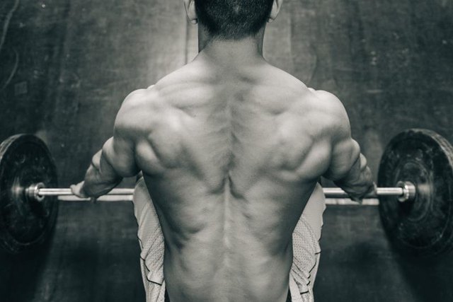 Muscular weightlifting champion, rear view, black and white