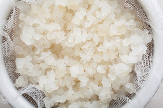 Water kefir grains