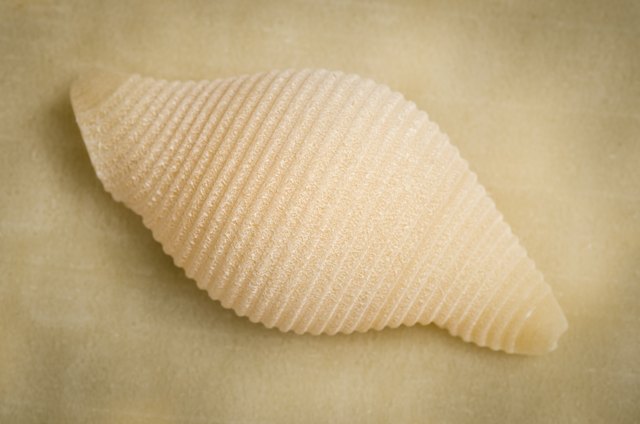 How to Make Sea Shell Pasta From Scratch | livestrong