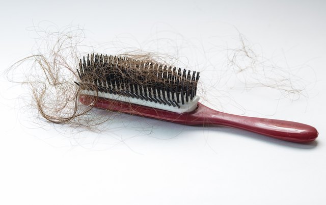Hair fall on a red comb isolated on white background