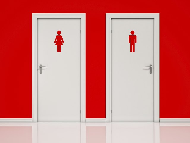 Female and Male, Toilet Doors